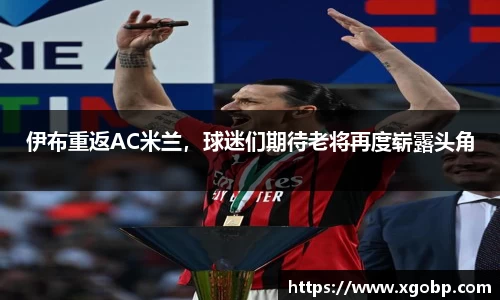 南宫ng28官网