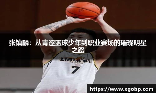 张镇麟：从青涩篮球少年到职业赛场的璀璨明星之路