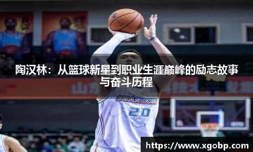 陶汉林：从篮球新星到职业生涯巅峰的励志故事与奋斗历程