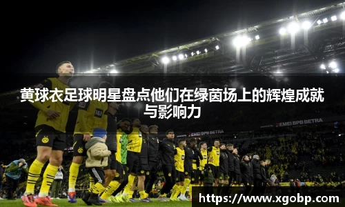 黄球衣足球明星盘点他们在绿茵场上的辉煌成就与影响力