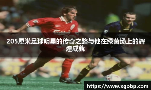 南宫ng28官方网站